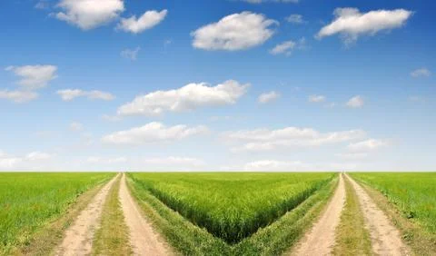 Field way  Stock Photos