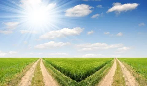Field way  Stock Photos