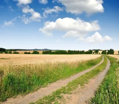 Field way Stock Photos