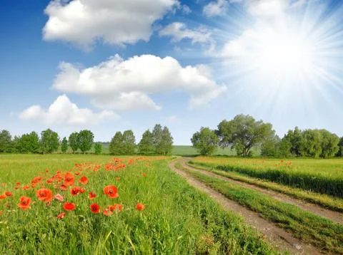 Field way  Stock Photos