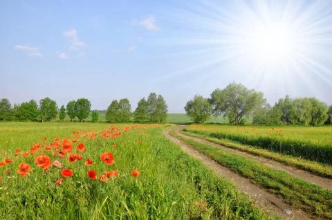 Field way  Stock Photos