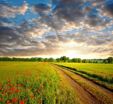 Field way Stock Photos