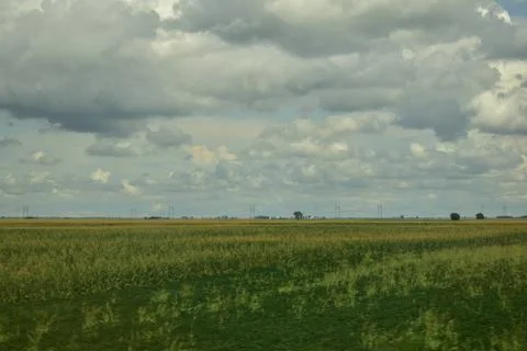 Field of wheat and cloudy sky in the Pannonian Plain Stock Photos