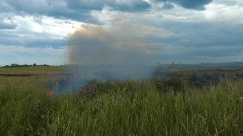 On the field with wheat the fire burns Stock-Footage 109056611