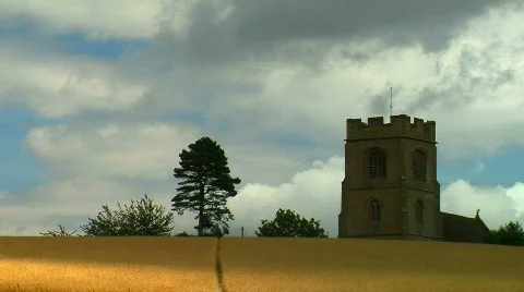 Field of wheat Stock Footage 796094