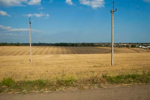 Field with wheat Stock Photos
