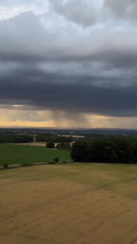 Field of wheat spikes in the background of the sunset and a thunderstorm cloud Stock Footage 281092300