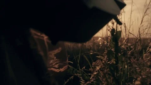 Field of Wheat at Sunset 스톡 동영상 71704177