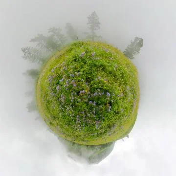 Field of willow-tea on a cloudy day. Spherical 360-degree vr panorama. Tiny Stock Photos