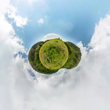 Field of willow-tea on a cloudy day. Spherical 360-degree vr panorama. Tiny Stock Photos