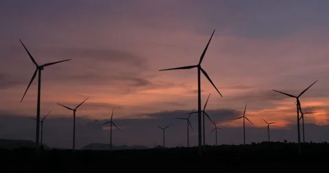 Field of wind generating electricity during sunset, Stock Footage 140758408