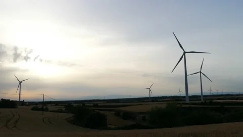 Field of windmills during a sunset. Renewable Energies Stock Footage 224477750