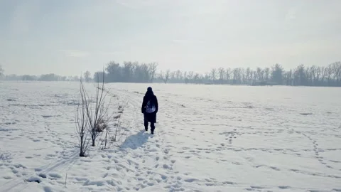 Field on a winter day Stock Footage 150186571
