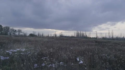Field in winter Stock Footage 147231737