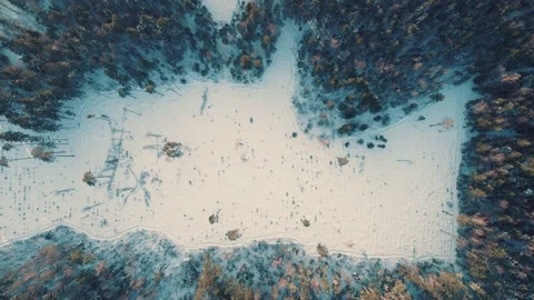Field in winter forest from drone Stock Footage 233926105