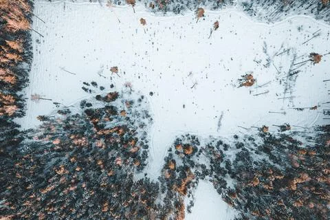 Field in winter forest from drone Stock Photos