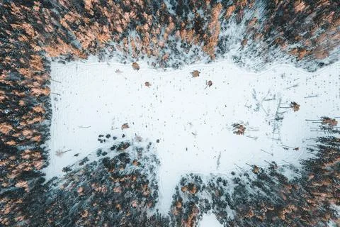 Field in winter forest from drone Stock Photos
