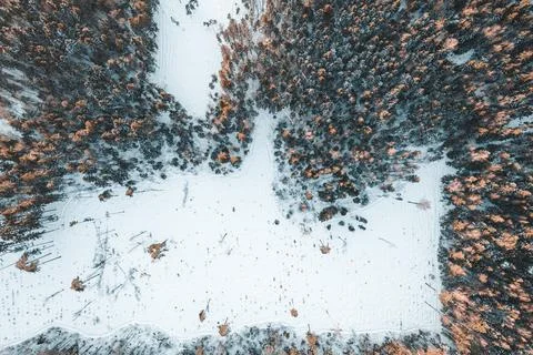 Field in winter forest from drone Stock Photos