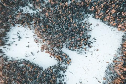 Field in winter forest from drone Stock Photos