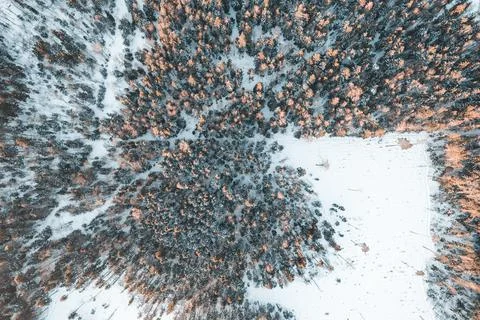 Field in winter forest from drone Stock Photos