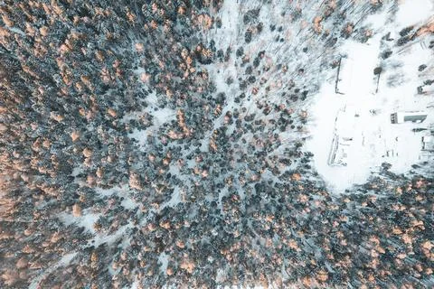 Field in winter forest from drone Stock Photos