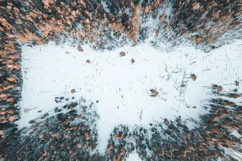 Field in winter forest from drone Stock Photos