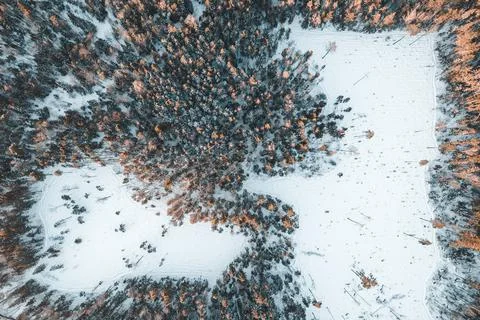 Field in winter forest from drone Stock Photos