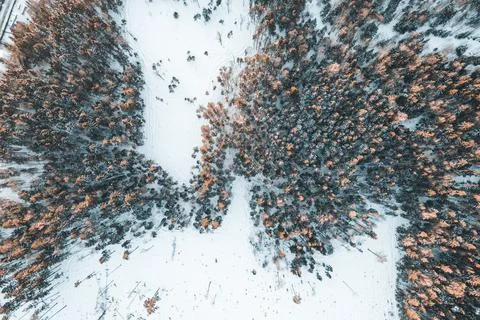 Field in winter forest from drone Stock Photos