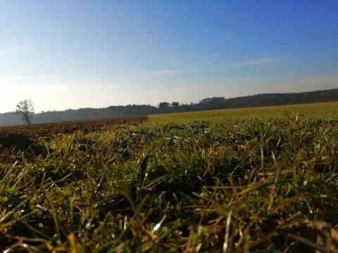 Field in winter Stock Photos