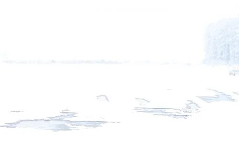 Field in winter Stock Photos