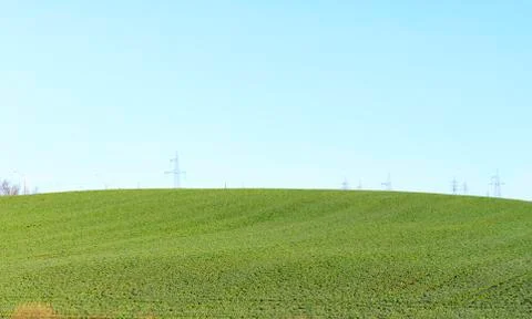 The field of winter rape Stock Photos