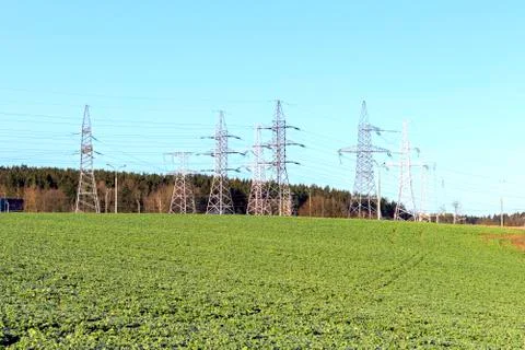 The field of winter rape Stock Photos