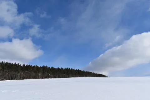 A field in winter under a cloudy sky Stock Photos