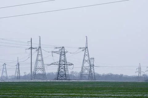 A field of winter wheat. in the background, high-voltage power lines. Stock Photos
