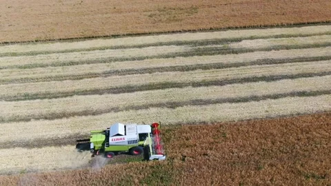 Field work from a bird's eye view Stock Footage 144875019