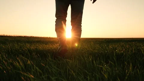 Field work boots, sunset farm walking, wheat production business, rural farm Stock Footage 278510987