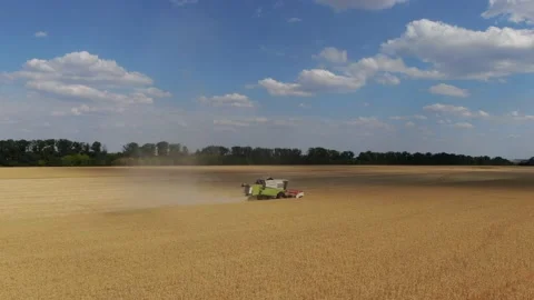 Field work Stock Footage 136970283