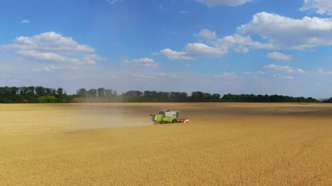 Field work Stock Footage 139052671