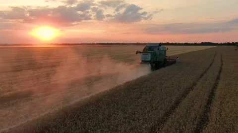 Field work at sunset. Stock Footage 136999988