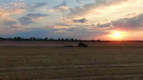 Field work at sunset Stock Footage 137030242