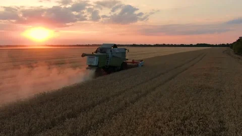 Field work at sunset. Stock Footage 137492518
