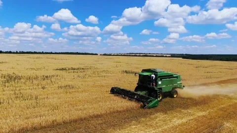Field work in Ukraine Stock Footage 172580806