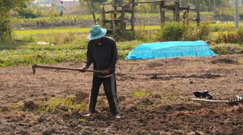 Field worker with a hoe - Myanmar Stock Footage 61330342