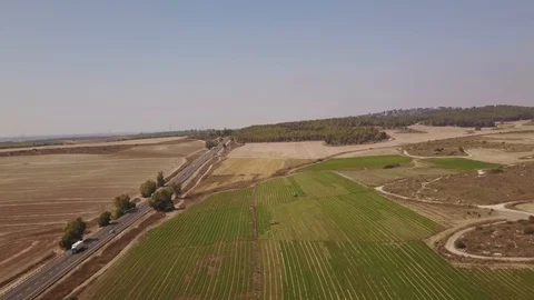 Field workers drone push in Stockbeeldmateriaal 85680958