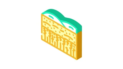 Field yellow ripe wheat isometric icon animation Stock Footage 327293436