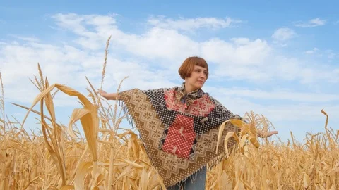 Field1 Stock Footage 116397905