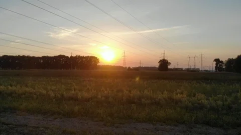 Field2 Stock Footage 96308835