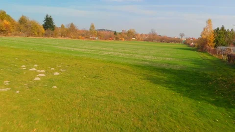Field2 Stock Footage 103517257