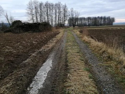 Fieldpath Stock Photos