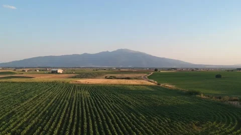 Fields 1 Stock Footage 136502855